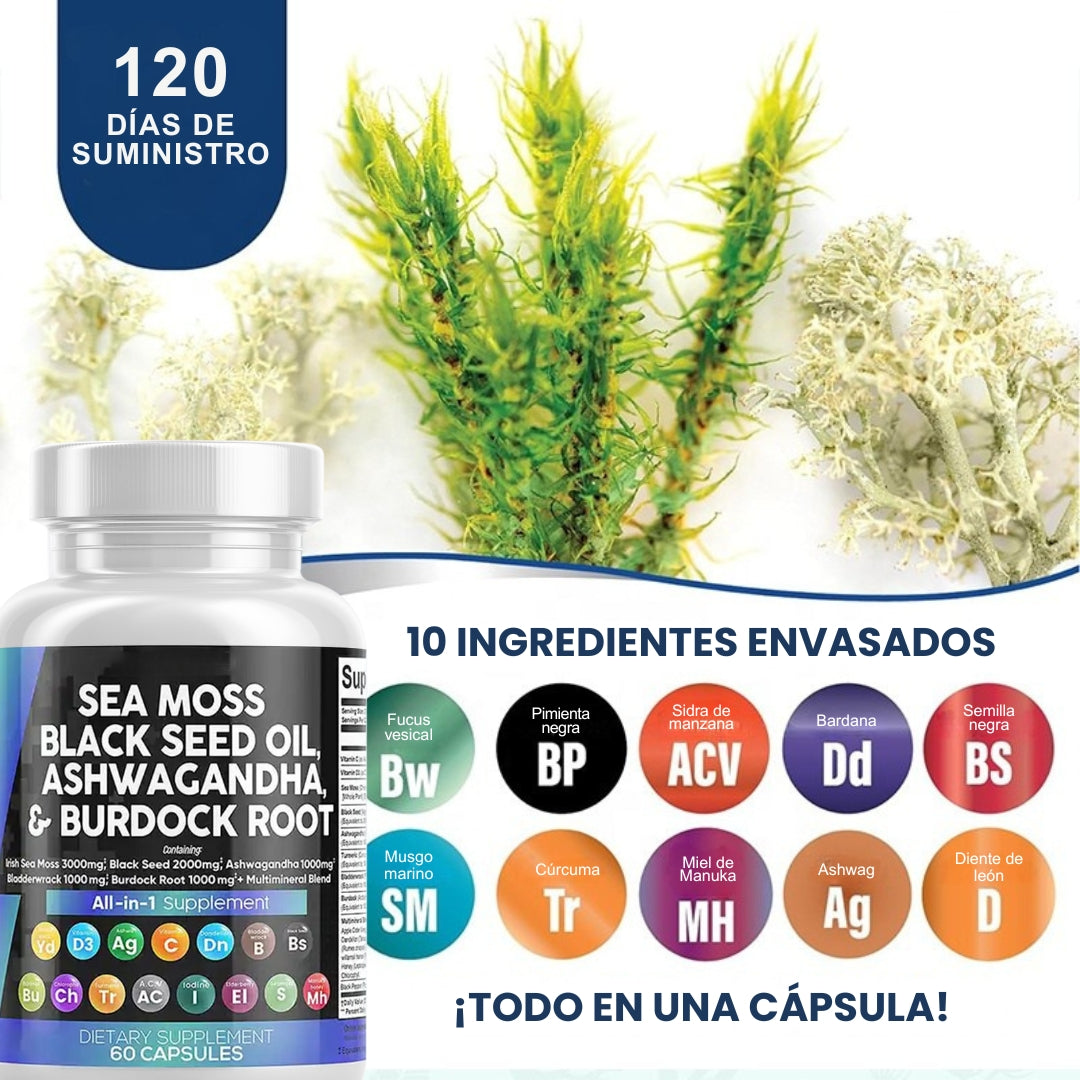 SeaMoss™ | Energía, Belleza e Inmunidad