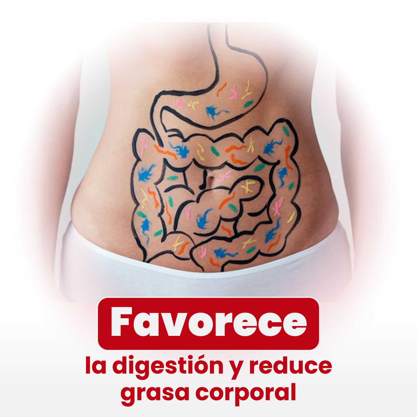 VINAGRE DE MANZANA
