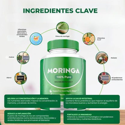 Moringa Plus™ | Energía, Memoria e Inmunidad