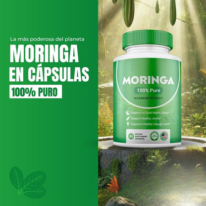 Moringa Plus™ | Energía, Memoria e Inmunidad